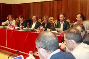La manca d'acord a Figueres en aprovar la municipalització de l'enllumenat i la jardineria pot comportar acomiadaments
