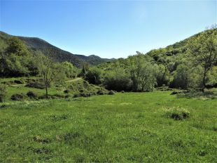 Busquen quatre menors que s'han perdut quan feien muntanyisme a Riudaura 
