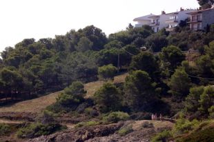 IAEDEN recorre el futur pla parcial de Llançà que podria encabir 170 nous habitatges