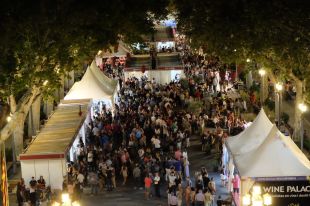 Rècord a la 34a Mostra del Vi amb 14.000 visitants i 8.000 tiquets venuts