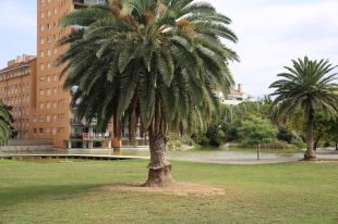 Girona reobre el Parc del Migdia i els Jardins de la Devesa per ampliar les zones de passeig o esport