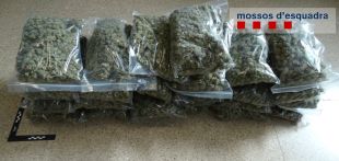 Detingut a Llers un home que portava més de 6 kg de marihuana al cotxe