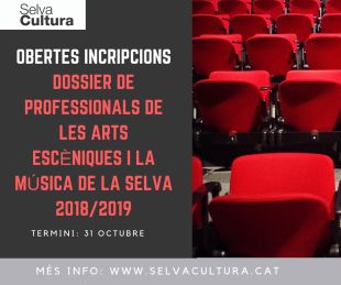 Obertes les inscripcions per formar part del dossier de professionals d'arts escèniques i música de la Selva