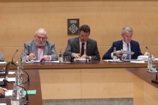 La Diputació de Girona assumirà dos serveis d'atenció a les víctimes de violència masclista