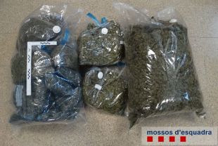 Detinguts tres homes que portaven més de 15 quilos de marihuana dins el cotxe a Figueres