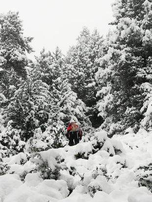 Localitzats amb vida els dos excursionistes de Sabadell perduts des de dissabte a Meranges
