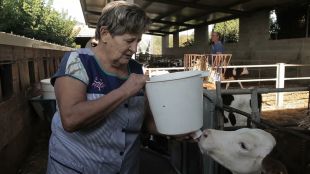 Un documental mostra el paper de les dones pageses al Pla de l'Estany