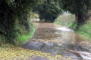 Es manté l'Inuncat pel temporal i demana especial prudència als rius i rieres gironins