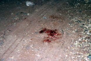 Troben el cadàver d'un home al pantà de Boadella amb pedres lligades al cos