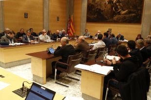 La Diputació de Girona aprova els pressupostos de 2019 amb la CUP en contra