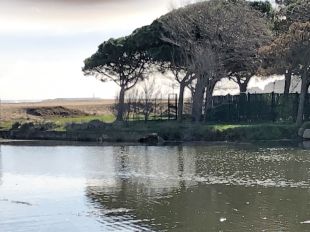 L'ACA repararà el talús de protecció del Ridaura a Platja d'Aro