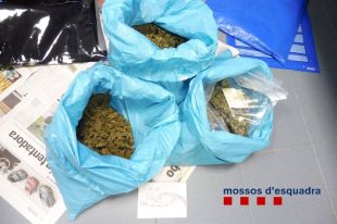 Desmantellen a Torroella un punt de distribució de marihuana en un pis ocupat