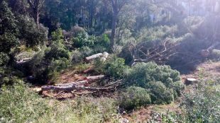 El promotor dels xalets a Aigua Xelida assegura que l'obra és legal
