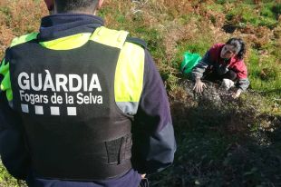Capturen l'emú perdut a Fogars de la Selva