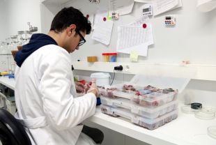 Discrepàncies amb el nou decret que regula la carn de caça
