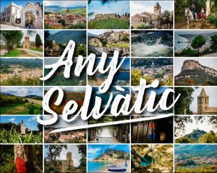 ''Any Selvàtic'', la iniciativa digital que vol fer dels ciutadans promotors de la província
