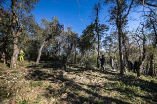 Nou municipis de la Selva deleguen la gestió forestal al Consell Comarcal