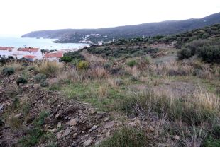 Els promotors de Sa Guarda defensen la viabilitat ambiental del projecte
