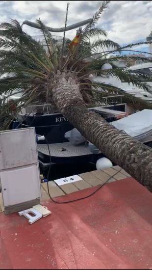 Castelló d'Empúries intenta recuperar la normalitat després de les destrosses per la tramuntana
