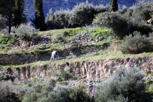 SOS Costa Brava celebra l'ampliació de la moratòria però reclama aturar Sa Guarda de Cadaqués