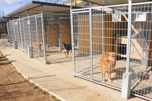 Amplien el refugi d'animals del Ripollès i es reserva espai per a gossos de races potencialment perilloses