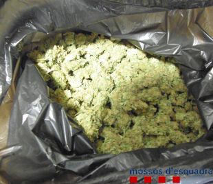 Dos detinguts que transportaven un quilo de marihuana dins el cotxe a Figueres