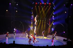 Acròbates fan brillar l'espectacle Blau de l'Elefant d'Or de Girona
