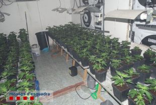 Tres detinguts per tenir plantacions de marihuana a l'edifici de Figueres incendiat
