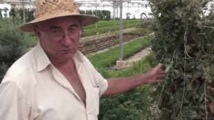 Programen a Blanes un acte per parlar d'un controvertit compost per tractar l'autisme