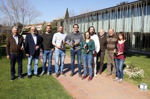 Obtenen un nou oli de qualitat ''suprema'' d'oliveres centenàries al Parc del Montgrí