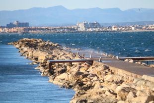 Descobreixen a la badia de Roses el ''bosc marí'' més gran de tota la costa catalana