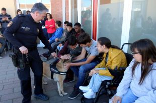 Els Mossos familiaritzen la unitat canina a persones amb discapacitat intel·lectual