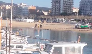 Troben morta una anciana surant al mar davant la platja de Palamós