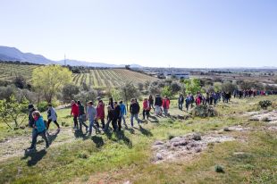 Un 40% d'entrades venudes del Vívid que arrenca aquest divendres