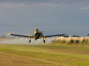 Una avioneta fumigarà els boscos de la Selva per combatre l'eruga peluda