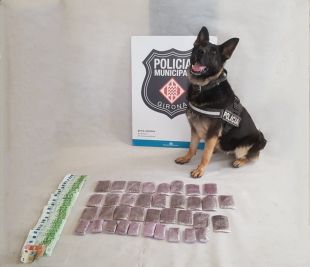 Detinguda a Girona una dona que viatjava a Marsella amb una motxilla amb 36 embolcalls d'haixix