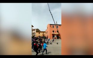Un arbre gairebé esclafa el públic de la tallada de maig a Cornellà de Terri