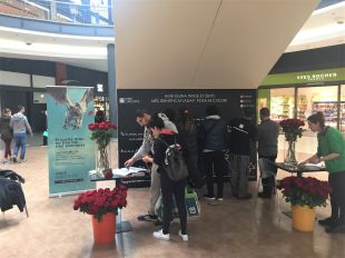 Espai Gironès regala roses als visitants que interactuen amb el mur de Sant Jordi