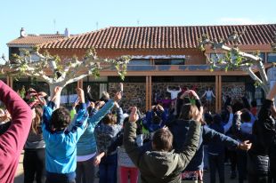 Mestres i alumnes d'una vintena d'escoles gironines comencen el dia fent estiraments