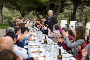 El Vívid tanca la seva millor edició amb una ocupació mitjana del 90%