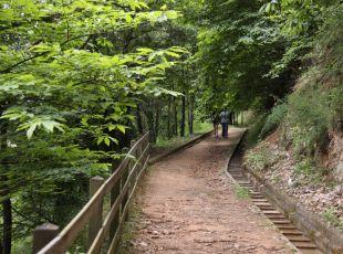 La Selva rebrà diners del fons europeu per promocionar les rutes del camí de Sant Jaume