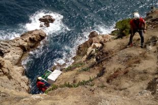 Endesa col·loca una caixa niu per a falcons a Tossa de Mar 