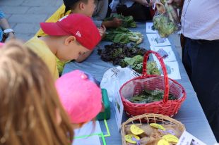 Uns 300 infants de les escoles gironines fan de paradistes al Mercat del Lleó