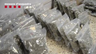 Desmantellat un grup dedicat a la compravenda de droga a Lloret de Mar