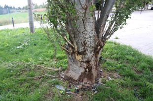 Dos menors i un adult greus després de xocar amb el cotxe contra un arbre a Figueres