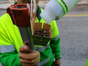Roses implanta un nou sistema fitosanitari per combatre les plagues als arbres