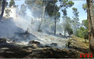 Un incendi crema 1.700 metres quadrats de vegetació forestal a Pals 