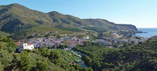 Aclareixen 128 hectàrees de pi a Colera per evitar incendis