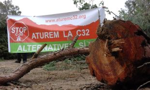 Detingut un activista que volia evitar la tala d'arbres per la C-32