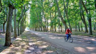Pagans diu que la primera mesura del Pla d'Usos de la Devesa serà tancar-la al trànsit de vehicles